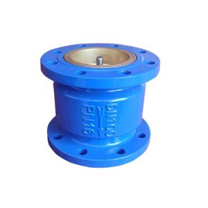 Cast Iron Flanged Silent Type Check Valve for Effective Backflow Prevention
