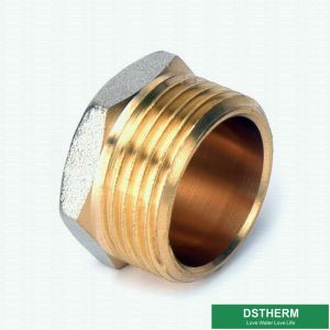 Double Male Threaded Plug Screw Fittings Compression Brass Fittings Pex Fittings
