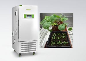 Wholesale CE Humidity Control Plant Growth Chamber For Plant Tissue Culture Special Type from china suppliers