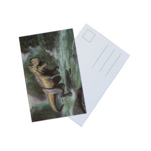 Negotiation Status read failed 3D Lenticular Postcards for Market
