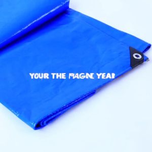 Outdoor-Tent Strong Waterproof PE Tarpaulin with HDPE Weaving and LDPE
