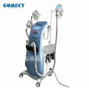Multifunctional Cryolipolysis Slimming Machine For Face And Body
