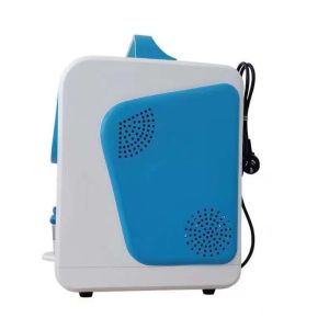 PEM Membrane Electrolysis Facial Inhaler Machine for 300ml Hydrogen and Oxygen