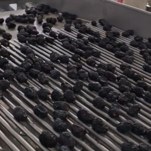 Smart Dates Sorting Machine, AI Detection, 6 lanes+10 outlets, 1.8 Tons per hour