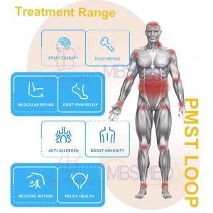 Pulsed Electromagnetic Field Reduce Inflammation Physio Magneto Pemf Magnetic