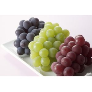 Wholesale Grape Seed Extract 95% Proanthocyanidins OPC (Vitis vinifera L) from china suppliers