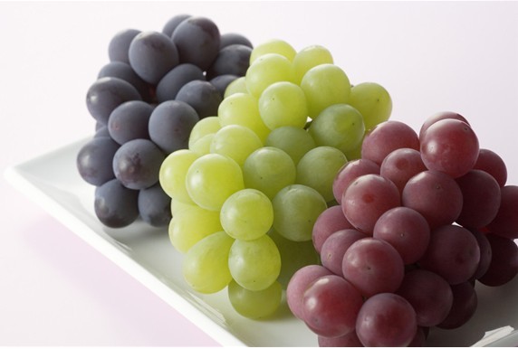 water soluble grape seed extract 95% opc --Vitis vinifera L for application of