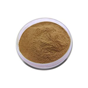 Food Grade Nutritional Brown Ginkgo Biloba Leaf Extract Powder