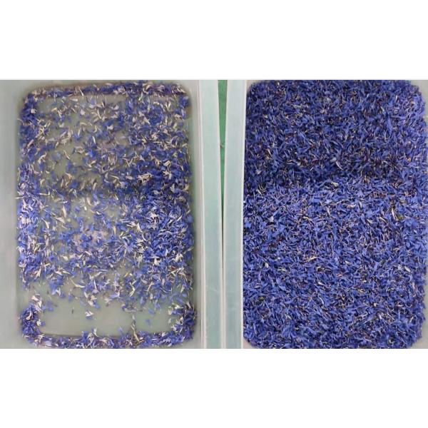 MultiFunction Color Sorter For Corn Flower Grading High Precision