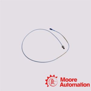 330101-00-80-10-02-00 Bently Nevada Proximity Probe