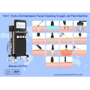 14 In 1 Oxygen Jet H2O2 Exfoliating Hydrating Cleaning Machine