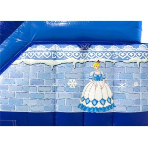 3D Cartoon Outdoor Inflatable Playground Frozen Princess Theme Quick Set Up