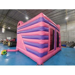 Digital Printing Inflatable Bounce House With Slides Disney Princess Inflatable