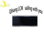 Customize OEM 12 O'Clock VA 1/3 BIAS Monochrome Segment Lcd Screen Module