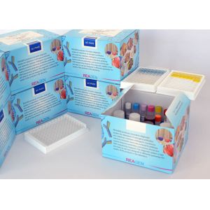 Wholesale Fast Detect Tetrodotoxin (TTX) ELISA Test Kit Powerful Neurotoxin For Fish Sampling from china suppliers