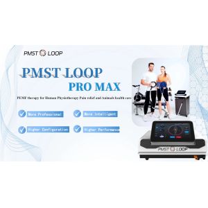 Pulsed Electromagnetic Field Reduce Inflammation Physio Magneto Pemf Magnetic