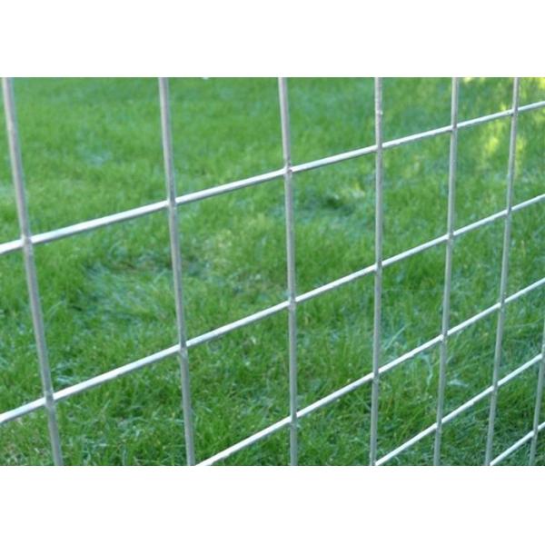 High Strength Square Welded Wire Mesh Hot Dipped Galvanized For Building Wall Plaster Included