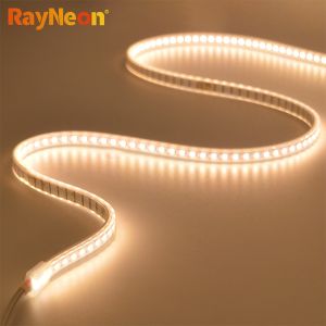8mm Width Flexible IP65 LED Strip Light Indoor And Outdoor Neon LED Light Strip