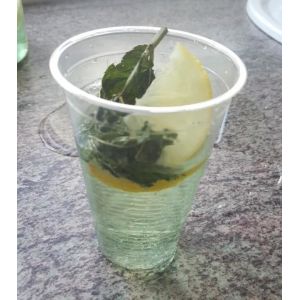 Custom Compostable Biodegradable PLA Cups 9 Oz for Restaurant