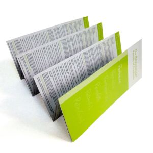 Promotional customized Full Colour Leaflet Colour Flyer Printing Services for