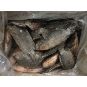 Wholesale Tasty Delicious high quality tilapia Gutted and Scaled from china suppliers