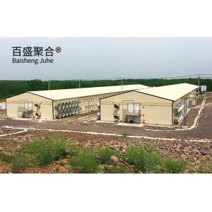 ASTM Standard Customized Commercial Pig House with Roller Door and Prefab Steel
