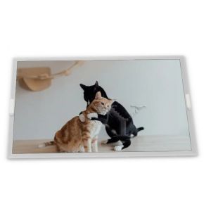 Wholesale High Resolution stock Compatible 6.2-Inch WLED LCD Display Module 800*480 ODM HSD062IDW1-A02 TFT LCM Panels RGB Interface from china suppliers