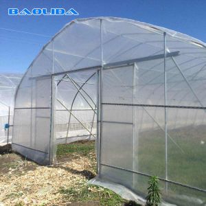 Wholesale Low Or High Tunnel Plastic Greenhouse Hot Dip Galvanized High Latitude Area from china suppliers