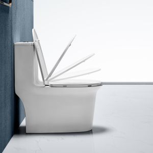 Dual Flush Elongated One Piece Toilets 0.9/1.3 GPF Siphon Jet