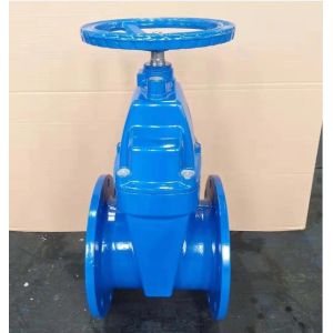 Customized DN80 DN150 DN200 DN400 DN500 Metal Seat Gate Valve with Y Type