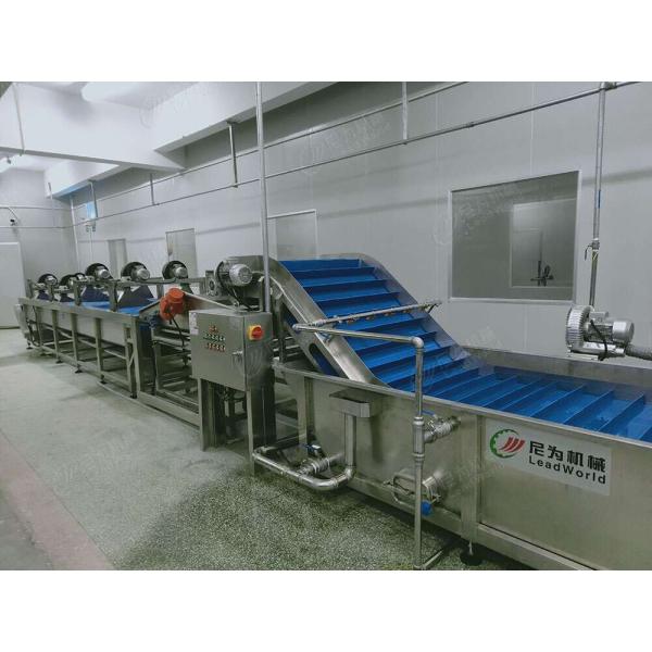 Multiple Temperature Control Carrot Washer Washing Machine Radish Cleaning Machine