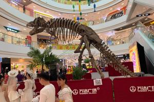 Artificial Simulation Complete Dinosaur Fossil Model Customization Support