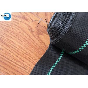 Heavy Duty Landscape Weed Control Fabric with Precut 6" Hole Spacing Perfect