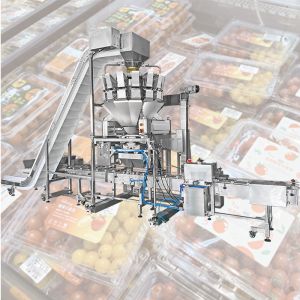 110BPM Clamshell Fresh Fruit Vegetable Packing Machine Cherries Strawberry Tray