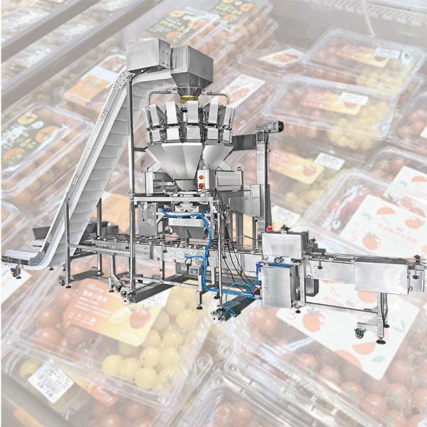 110BPM Clamshell Fresh Fruit Vegetable Packing Machine Cherries Strawberry Tray