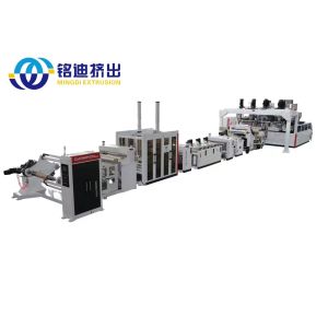 Co Rotating Parallel Masterbatch Filling Compounding Twin Screw Plastic Extruder