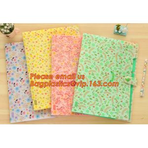 hot selling plastic pp rainbow expanding file wallet folder with elastic band