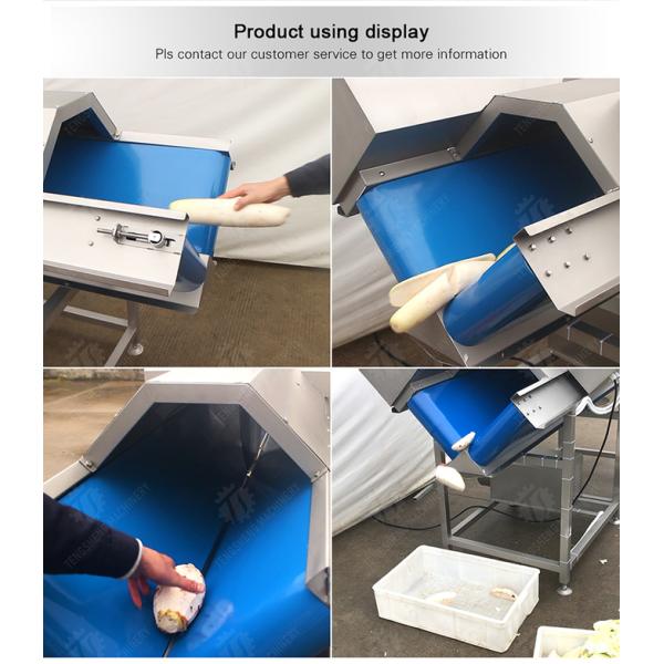 Apple papaya chieh-qua pumpkin wax gourd Potato Carrot radish Taro watermelon Hami Melon cucumber towel gourd balsam pear Baby Cabbage Chinese Cabbage