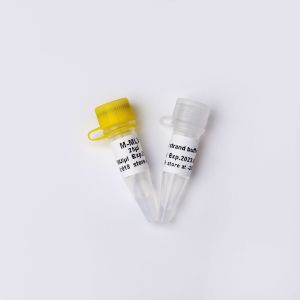M-MLV Reverse Transcriptase PCR Reagents R1042