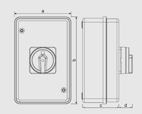 IP65 100A 4 Pole Painted Steel Enclosure Rotary Cam Switch 3 Years Warranty