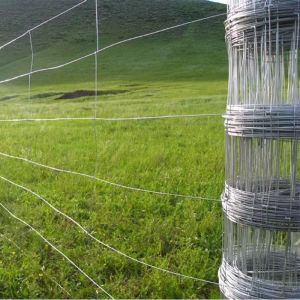 Galvanized Fixed Knot Field Fence Metal Iron White Garden Fence Aluminum Fence