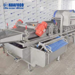 Vortex Type Leaf Vegetable Washing Machine 1000kg/h Salad Vegetable Cutting And