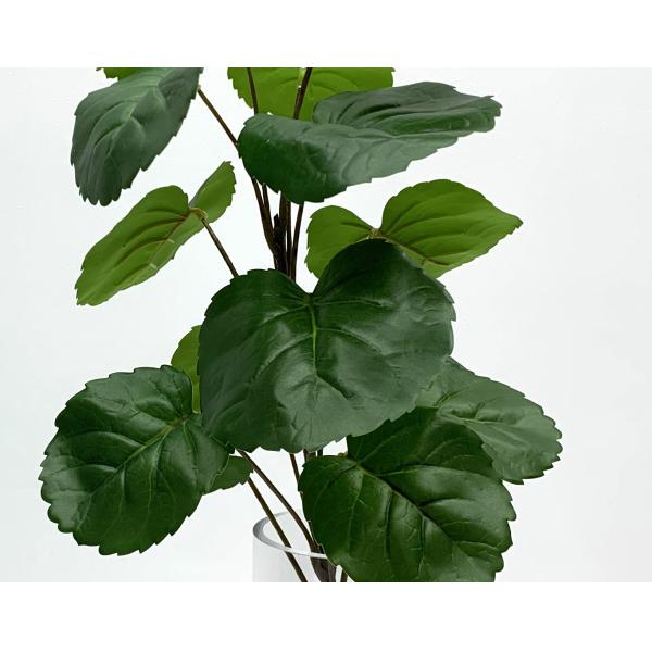 Greenery Polyscias Balfouriana Plastic Tree Branches 65 Cm 70 Cm Indoor Decor