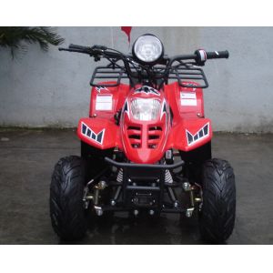 70CC / 90CC / 110CC Single Cylinder Four Stroke Atv With Front Double Swing Arm