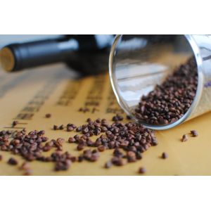 top quality 95% Proanthocyanidin(OPC) Grapefruit Seed Extract (Vitis vinifera L)