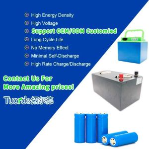 3000 Cycles Lithium Iron Phosphate Cells , 40Ah 3.2V Prismatic Lithium Battery