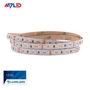 China White Led Strip Light 2700K 3000K 4000k 6500K Dimmable Waterproof Strip Light on sale