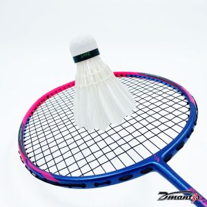 Carbon Fiber Light Graphite Professional Top Fiber Badminton Rackets Dmantis