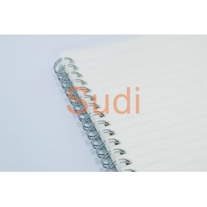 Double Binding Filament PP Cover A5 Loose Leaf Spiral Notebook