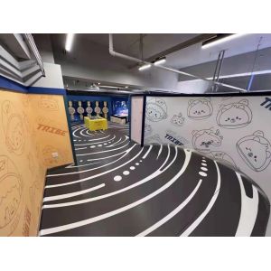 Personalized 3D Effect Vinyl Flooring PVC 3D Printed Vinyl Flooring For Theme